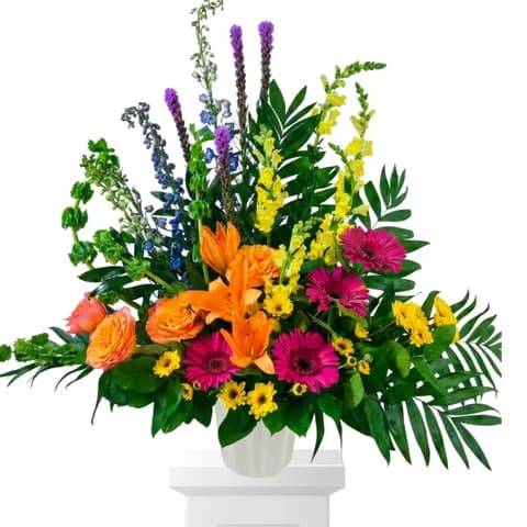 Celebration of Life