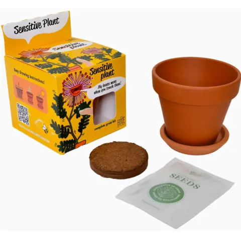 Sensitive Plant