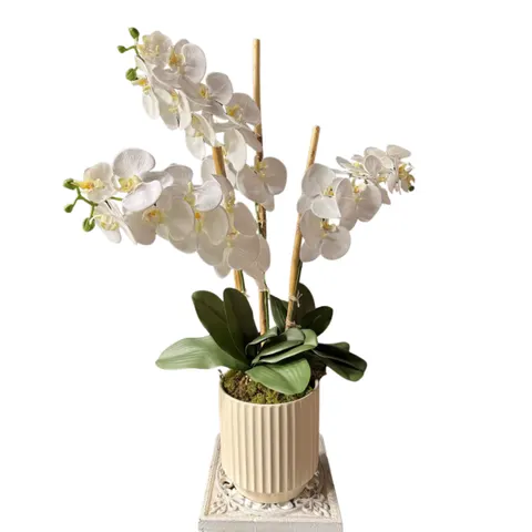 Silk 3 Stem Orchid