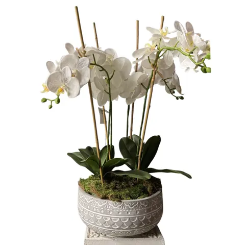 Silk 4 Stem Orchid