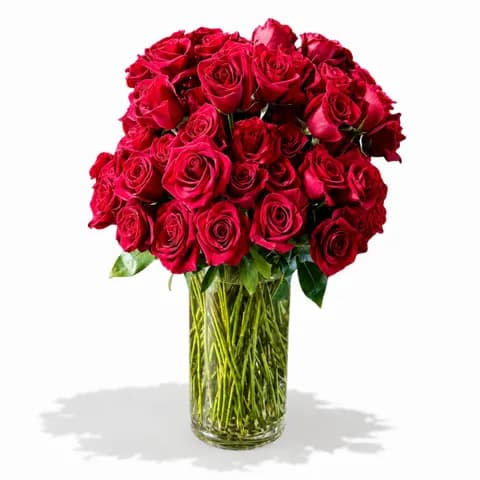 100 Long Stem Roses
