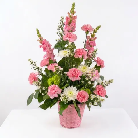 Prayers in Pink